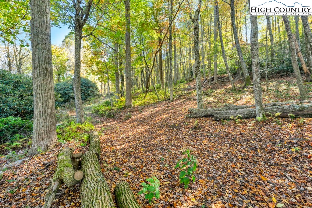 Lot 57 Wick Wyre Boone, NC 28607 - Photo 6 of 31 a view of backyard with green space