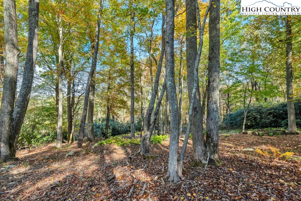 Lot 57 Wick Wyre Boone, NC 28607 - Photo 7 of 31 a backyard of a house with lots of green space