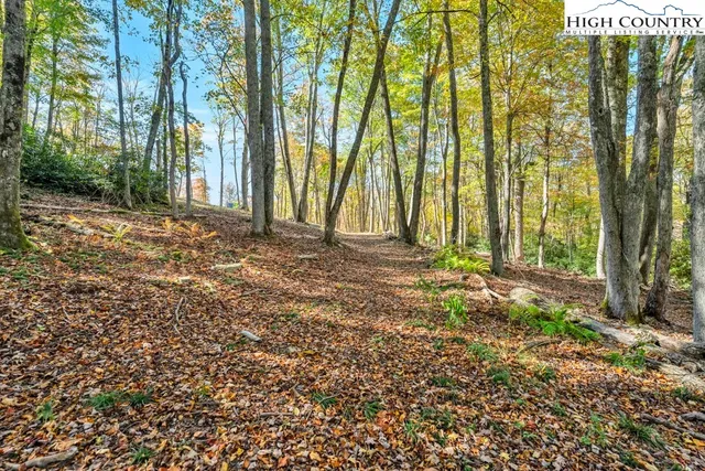 a view of a backyard of the house