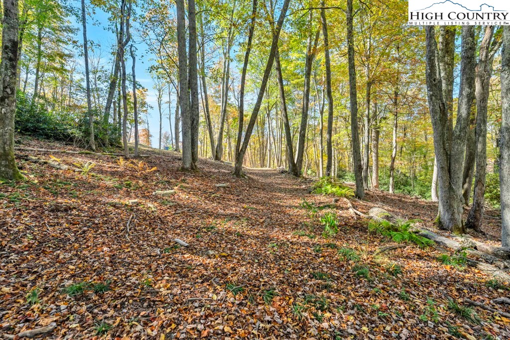 Lot 57 Wick Wyre Boone, NC 28607 - Photo 8 of 31 a view of outdoor space with deck and tree