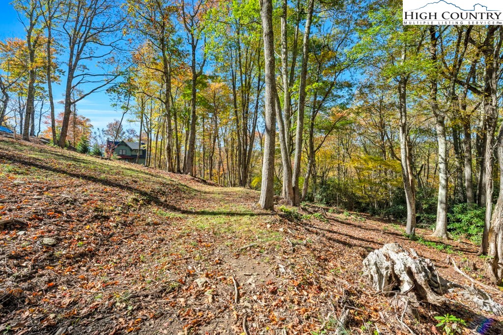 Lot 57 Wick Wyre Boone, NC 28607 - Photo 9 of 31 a view of a backyard of the house