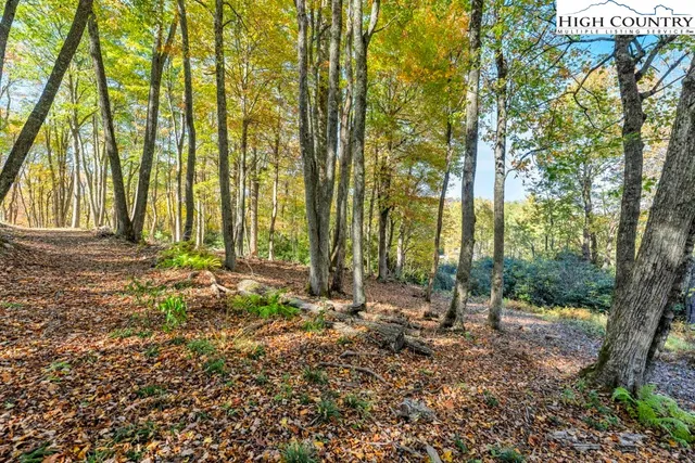 a view of a backyard of the house