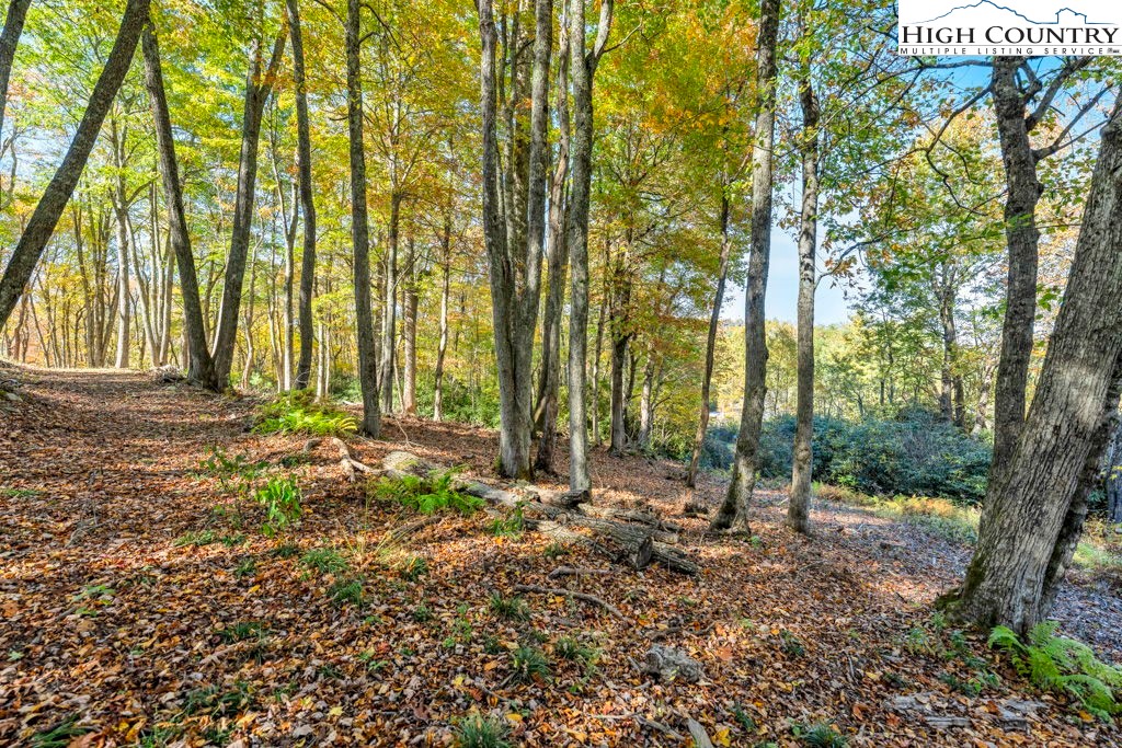 Lot 57 Wick Wyre Boone, NC 28607 - Photo 10 of 31 a view of backyard with green space