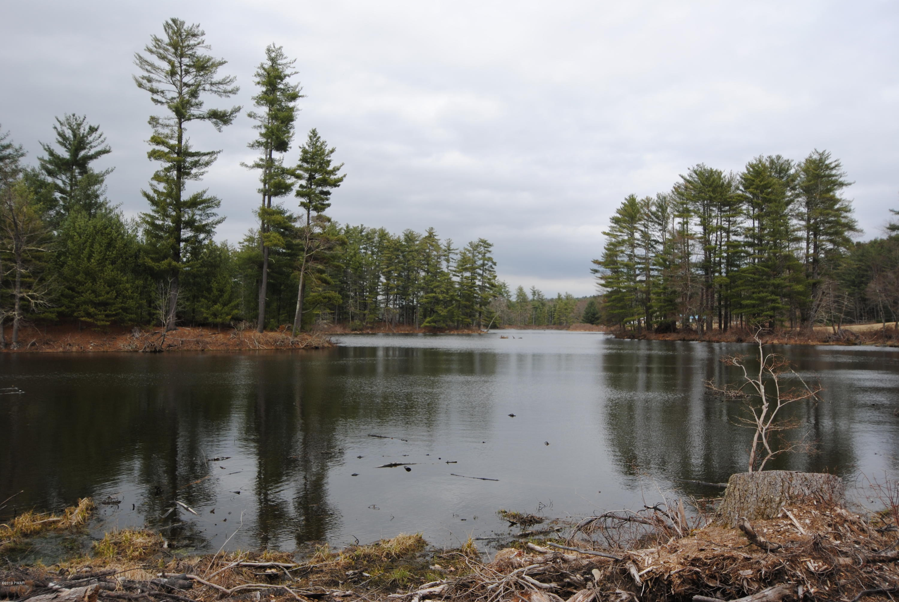 Swamp Pond Road Narrowsburg, NY 12764 - Photo 5 of 10