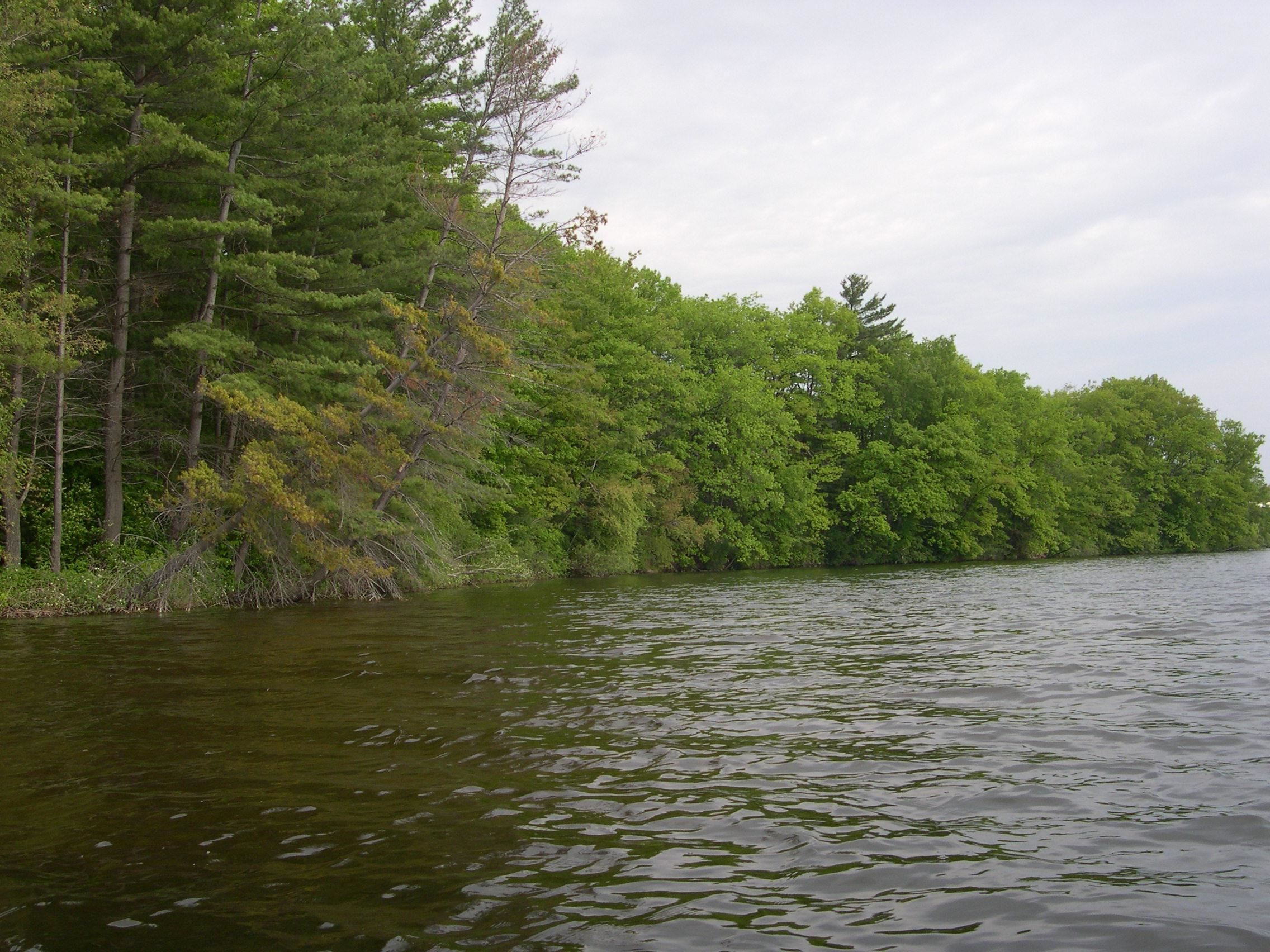 1541 Edgewater Ridge Traverse City, MI 49684 - Photo 11 of 21 1914186-10.JPG
