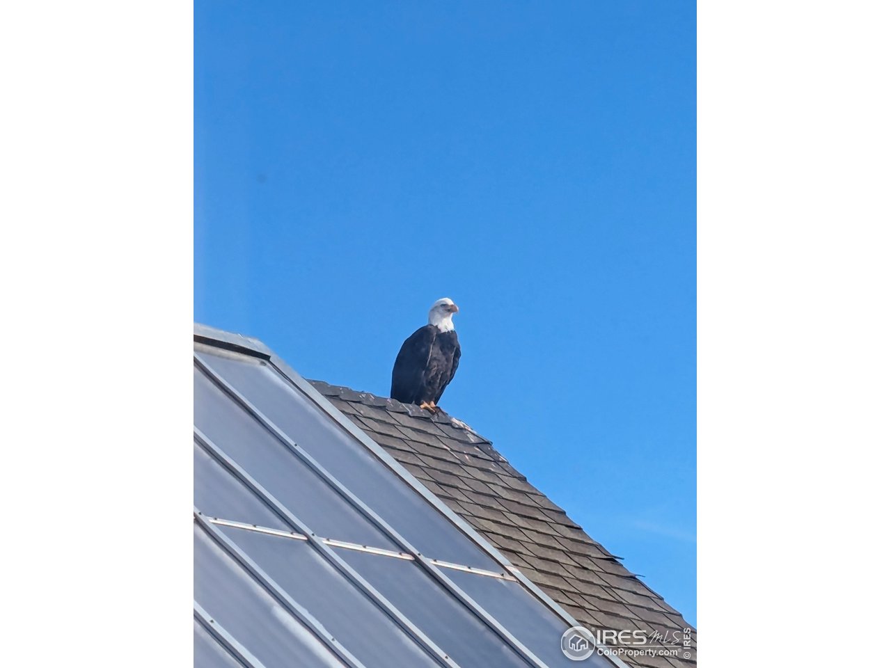 5775 Jay Road Boulder, CO 80301 - Photo 31 of 37 a view of a staircase