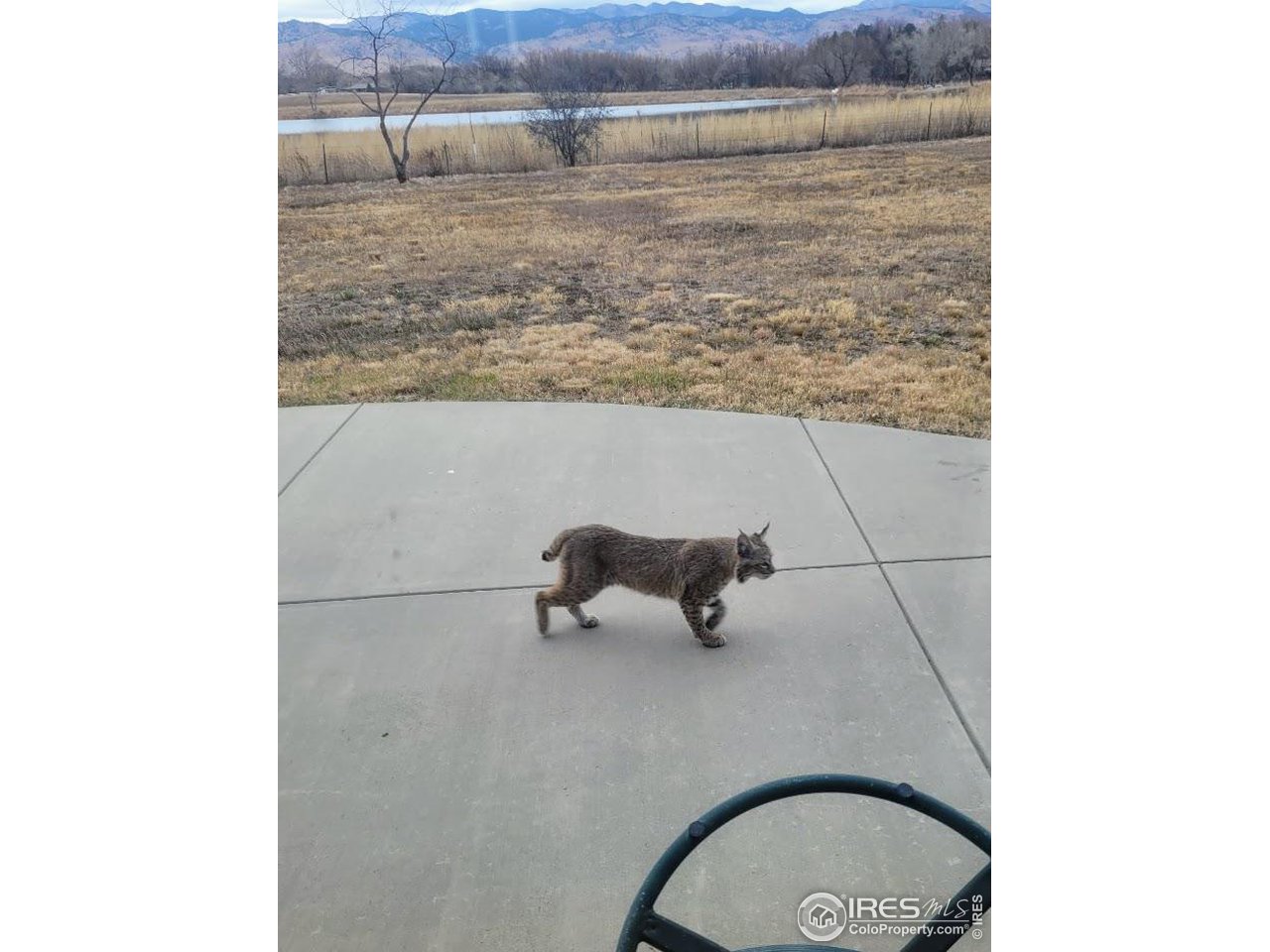 5775 Jay Road Boulder, CO 80301 - Photo 33 of 37 a bathroom with a toilet