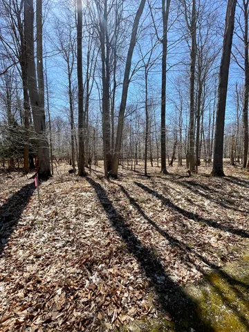 $36,000 | West Nanninga Drive, Unit 19, Ludington, MI 49431