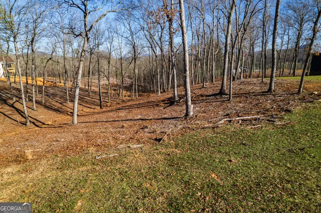 a view of a yard with an outdoor space