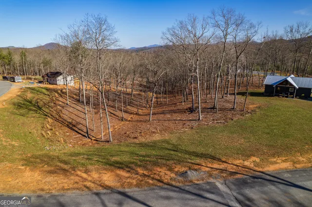 a view of painting on the wall