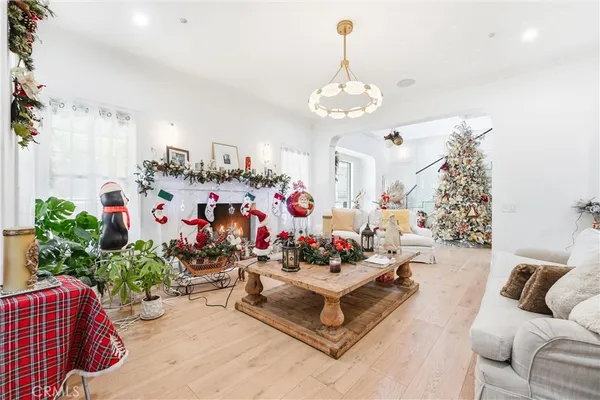 a living room with furniture flowerpot and a chandelier
