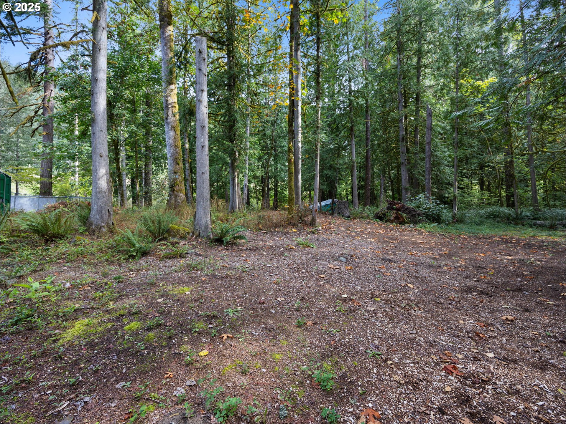 0 East Marmot Road Sandy, OR 97055 - Photo 4 of 10 a view of outdoor space with green space