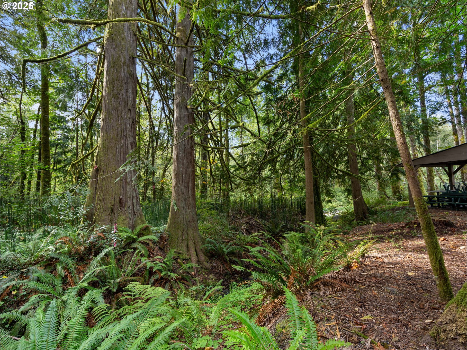 0 East Marmot Road Sandy, OR 97055 - Photo 5 of 10 a view of outdoor space and trees