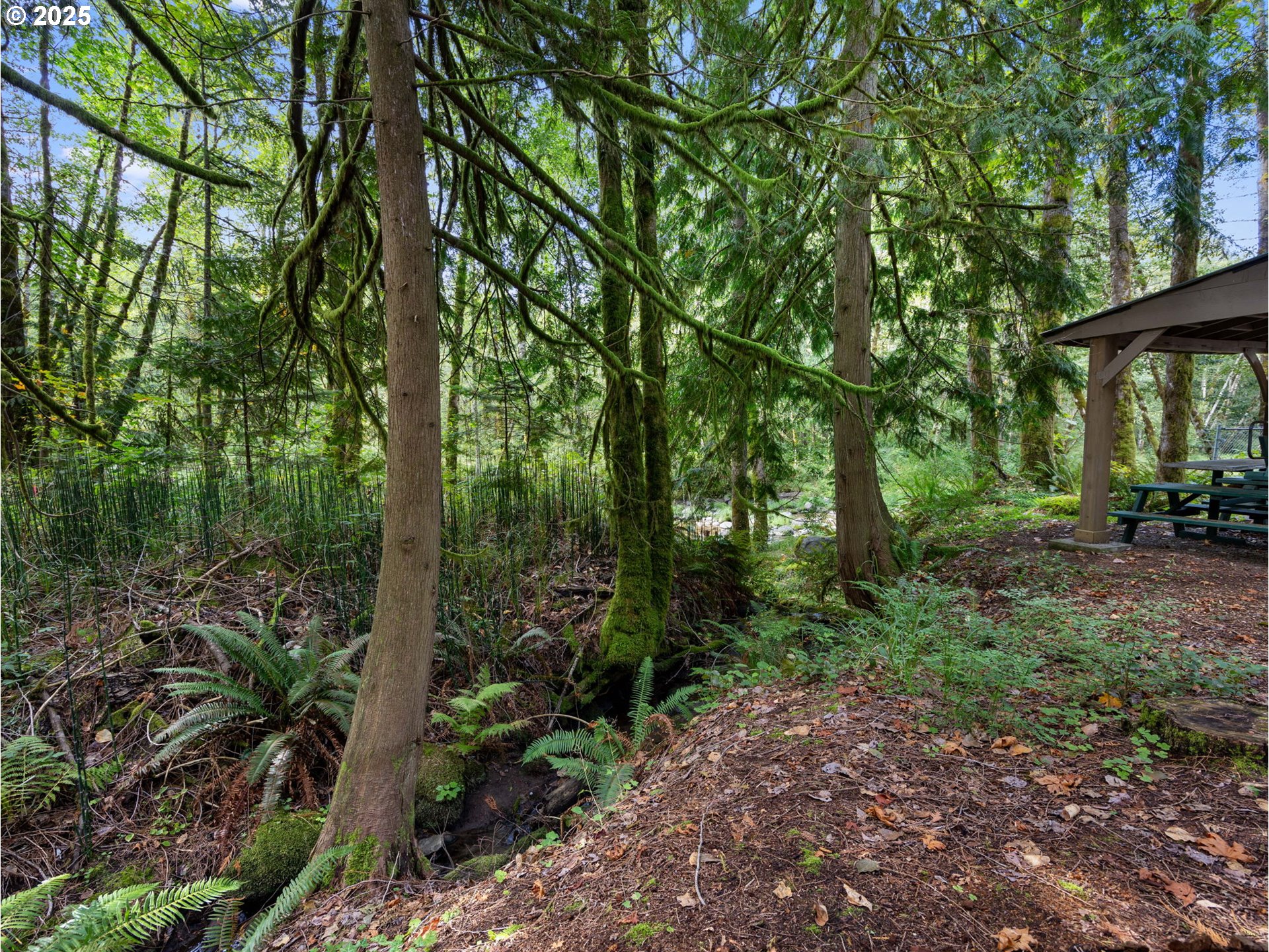 0 East Marmot Road Sandy, OR 97055 - Photo 7 of 10 a view of outdoor space and green space