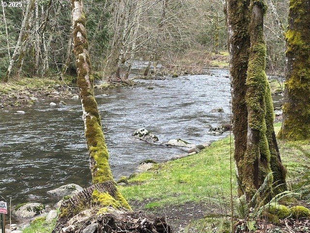 0 East Marmot Road Sandy, OR 97055 - Photo 9 of 10 a view of yard