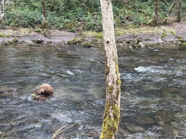 0 East Marmot Road Sandy, OR 97055 - Photo 10 of 10