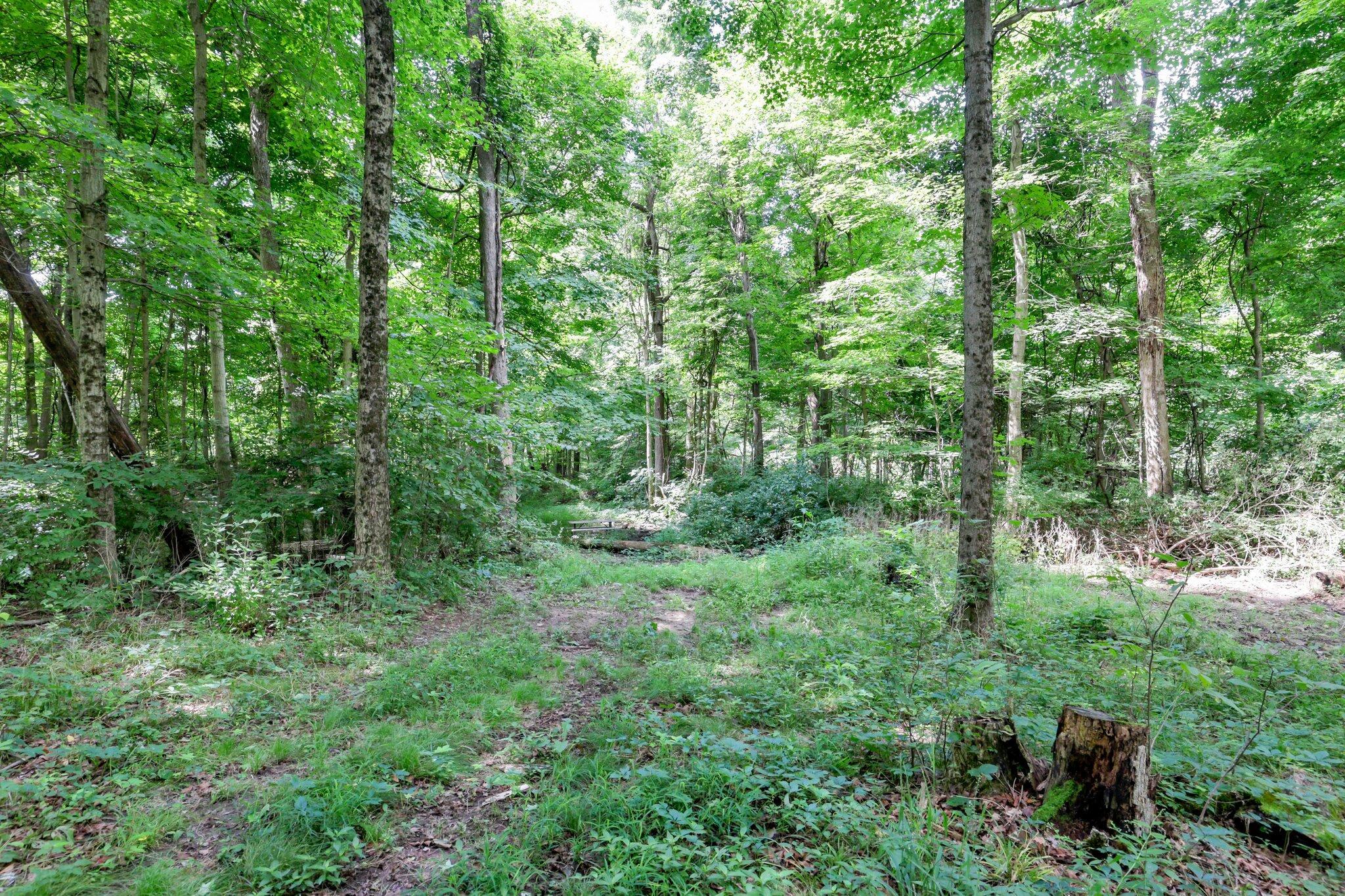 5251 Lithopolis Road Northwest Lancaster, OH 43130 - Photo 55 of 59 83-web-or-mls-0N4A2367