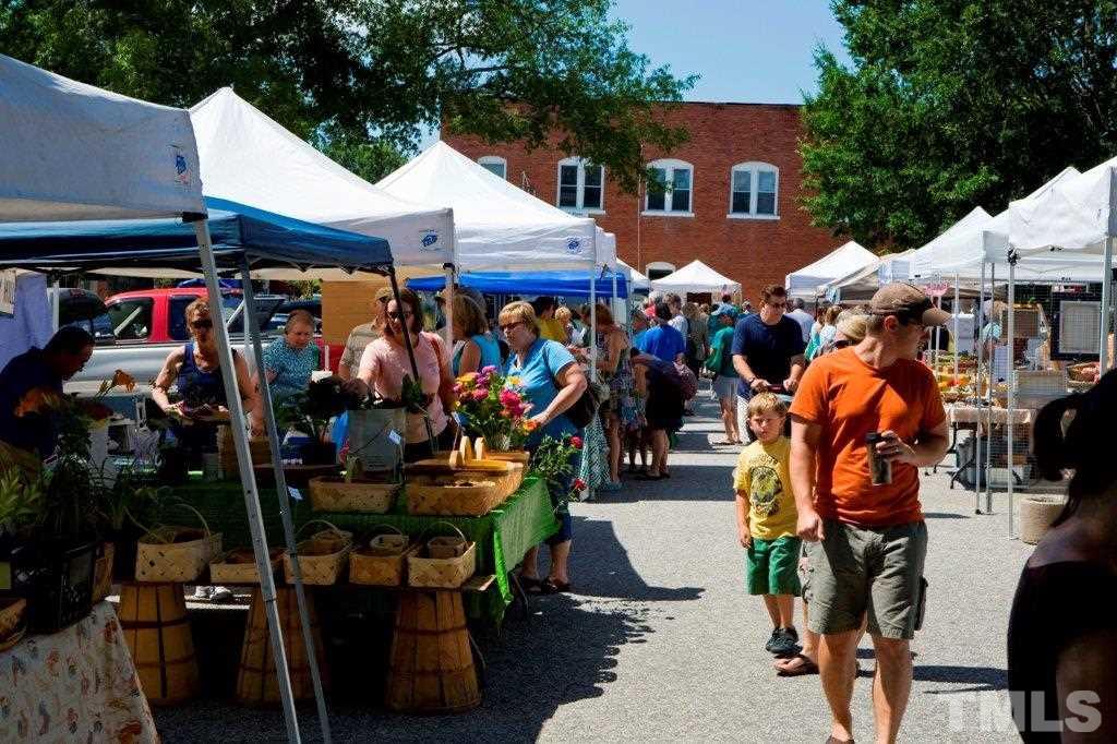 444 Rally Point Place Wake Forest, NC 27587 - Photo 7 of 9