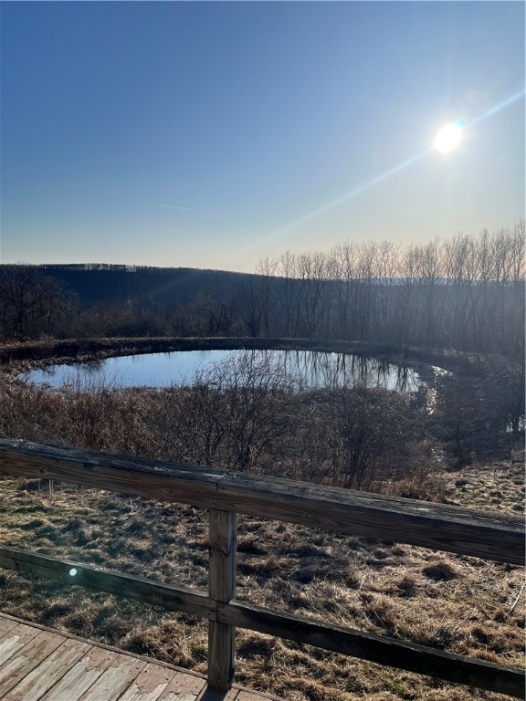 3709 Dean Road Hector, NY 14869 - Photo 27 of 49