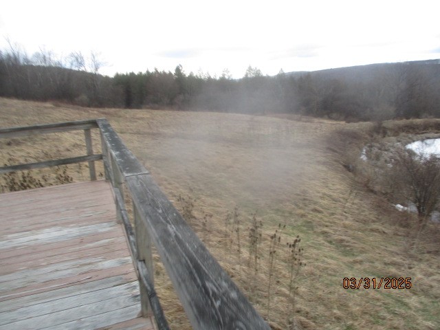 3709 Dean Road Hector, NY 14869 - Photo 30 of 49