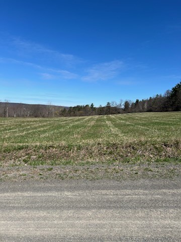 3709 Dean Road Hector, NY 14869 - Photo 38 of 49