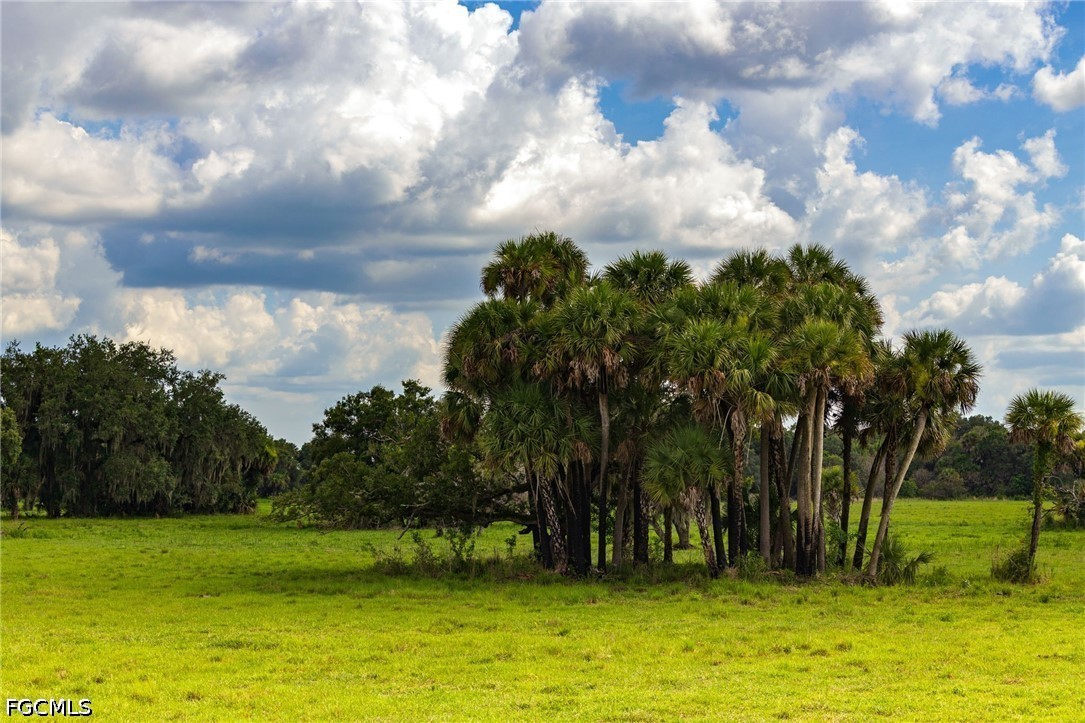 21405 Dooley Grade Road Clewiston, FL 33440 - Photo 18 of 50