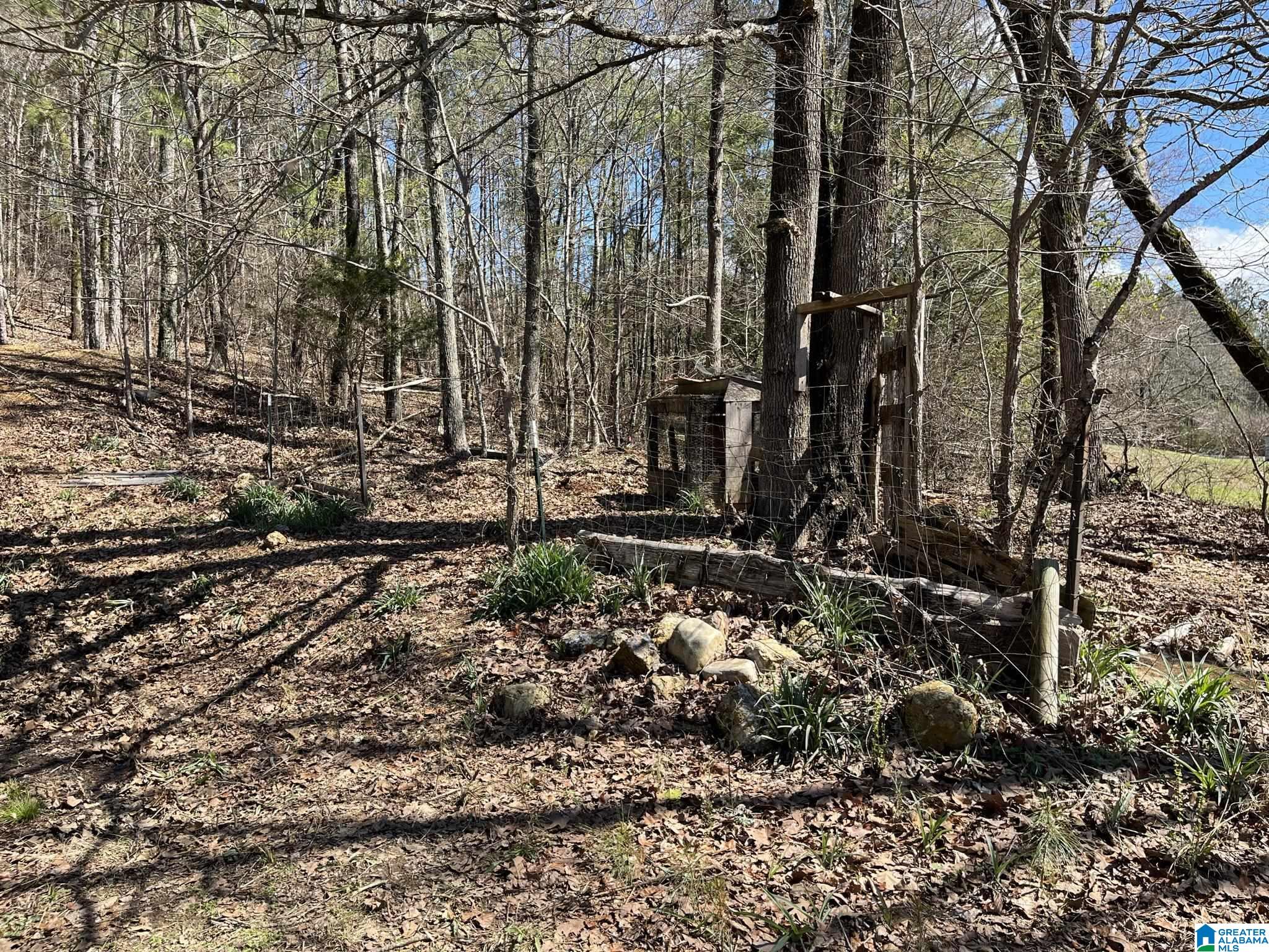 150 Wilson Mine Road, Unit 910 Piedmont, AL 36272 - Photo 22 of 36