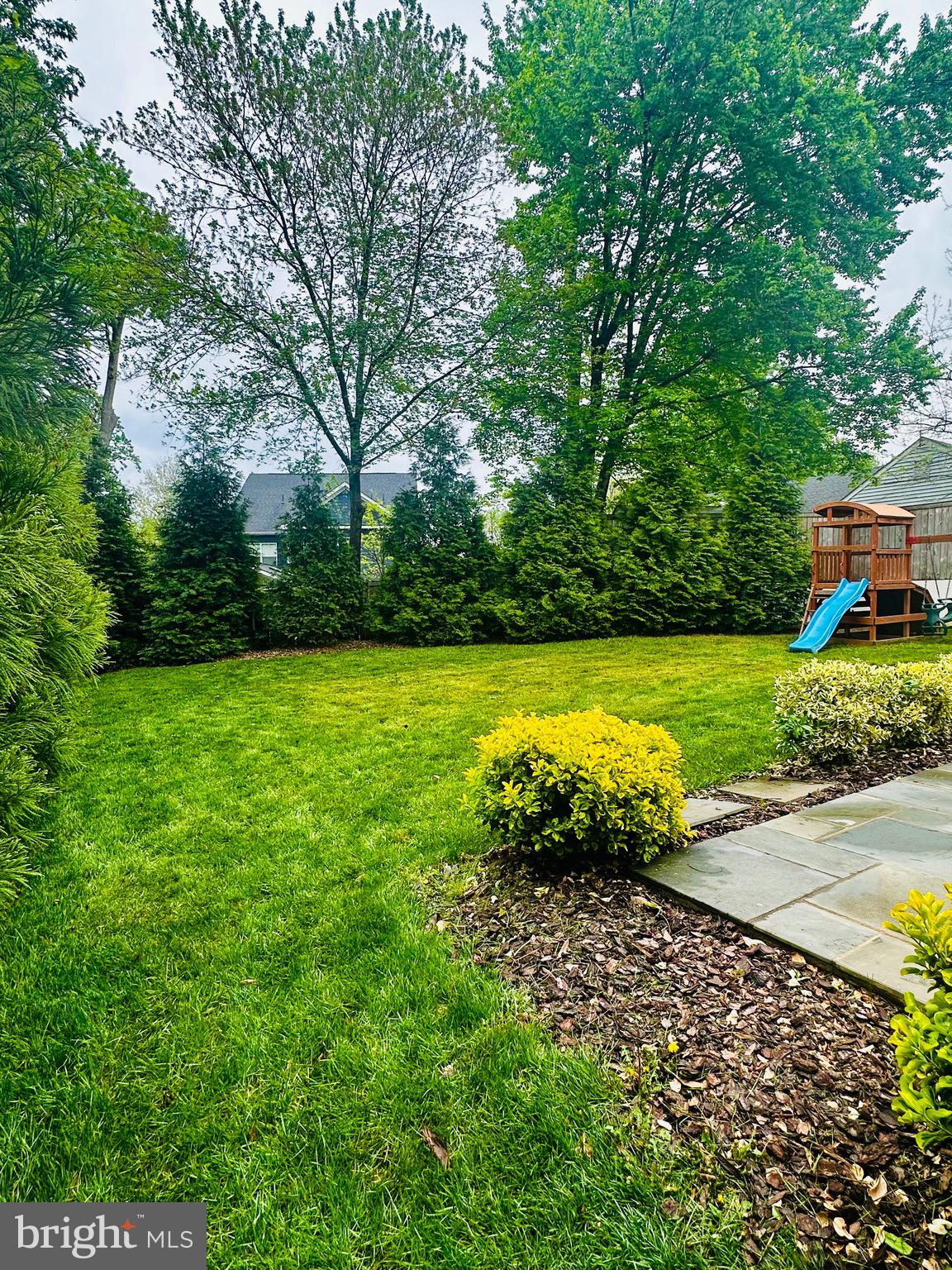 2033 Griffith Road Falls Church, VA 22043 - Photo 7 of 10 a view of a swimming pool with a yard