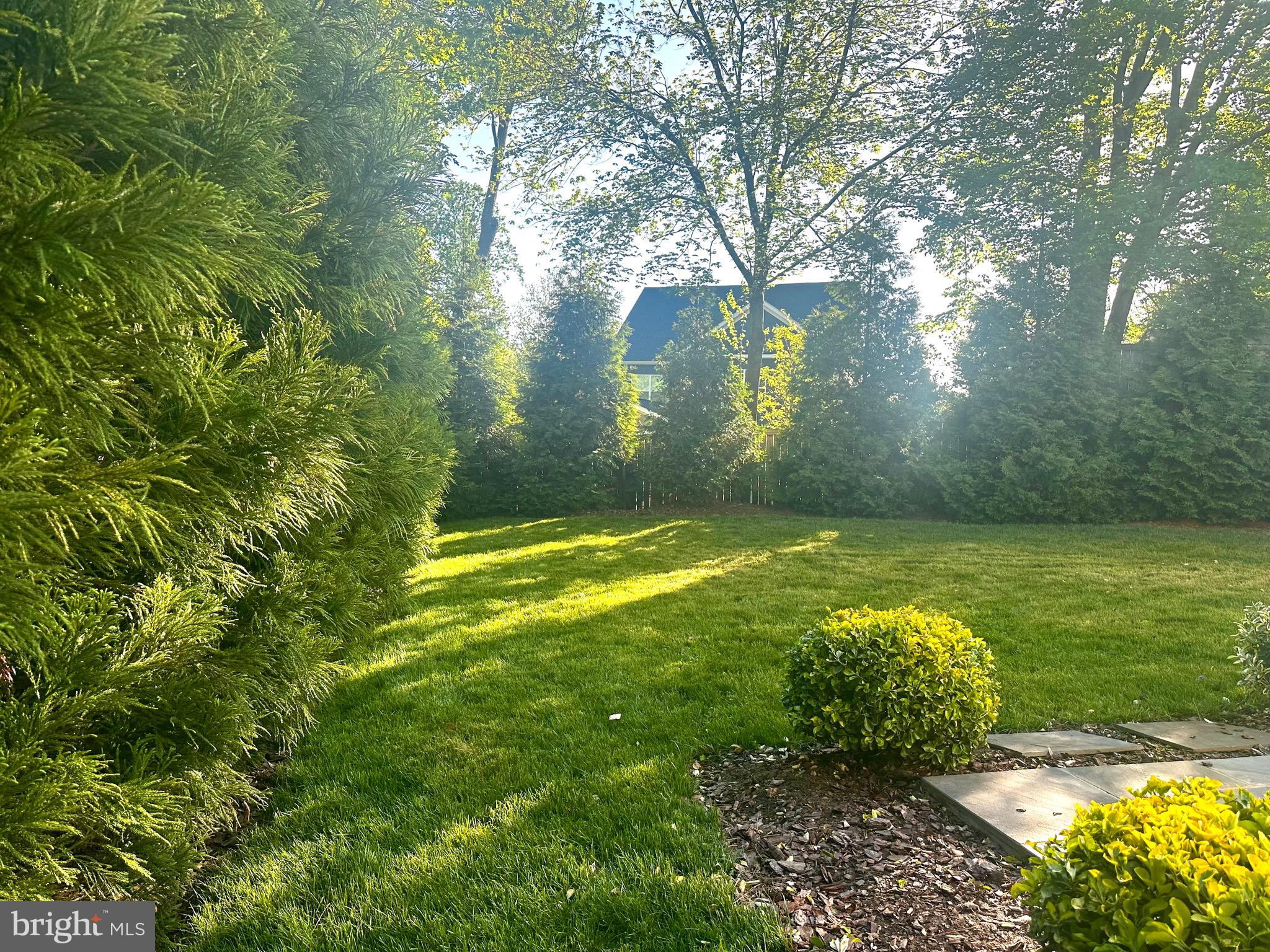 2033 Griffith Road Falls Church, VA 22043 - Photo 8 of 10 a view of yard with green space