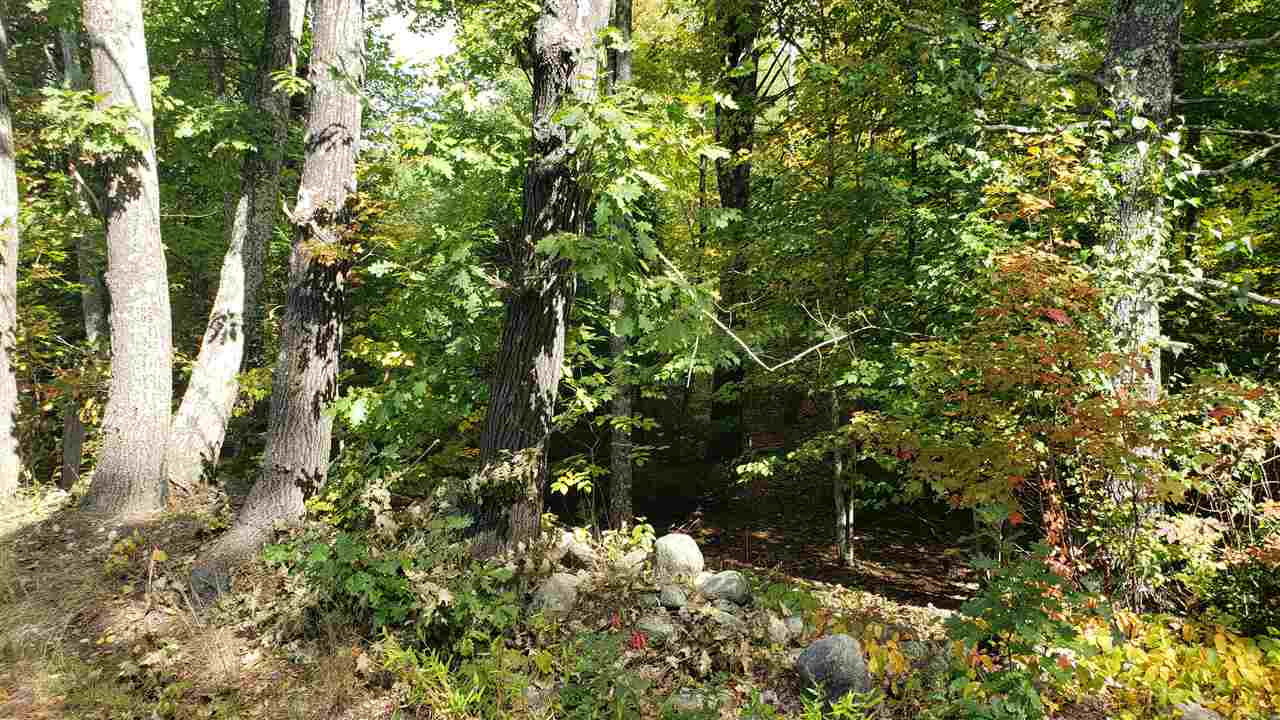 Chestnut Hill Road, Unit 73 Farmington, NH 03835 - Photo 4 of 5 Gallery Image 4