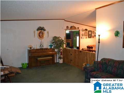 401 Old Settlement Road Oneonta, AL 35121 - Photo 16 of 28