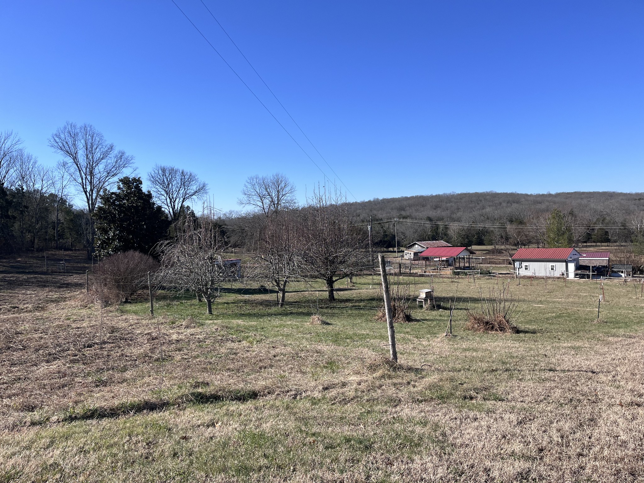 2160 Cedar Grove Road Lebanon, TN 37087 - Photo 2 of 100 a view of outdoor space and city view