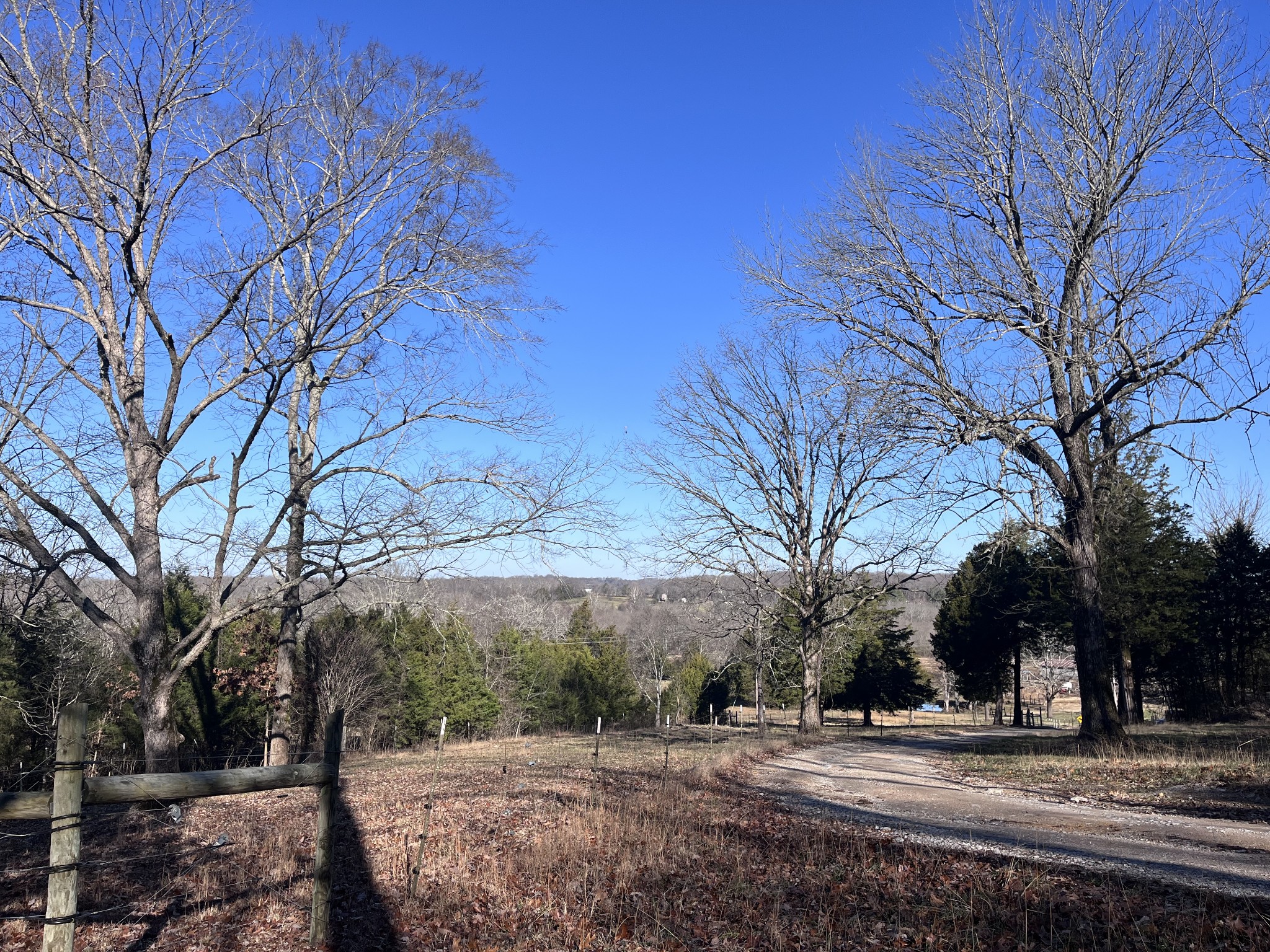 2160 Cedar Grove Road Lebanon, TN 37087 - Photo 70 of 100