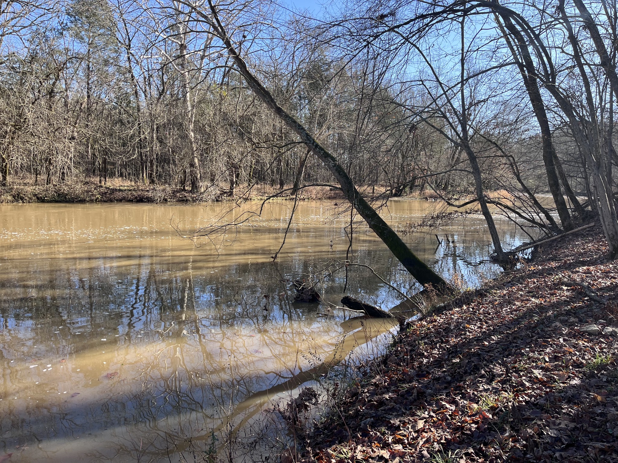 2160 Cedar Grove Road Lebanon, TN 37087 - Photo 8 of 100