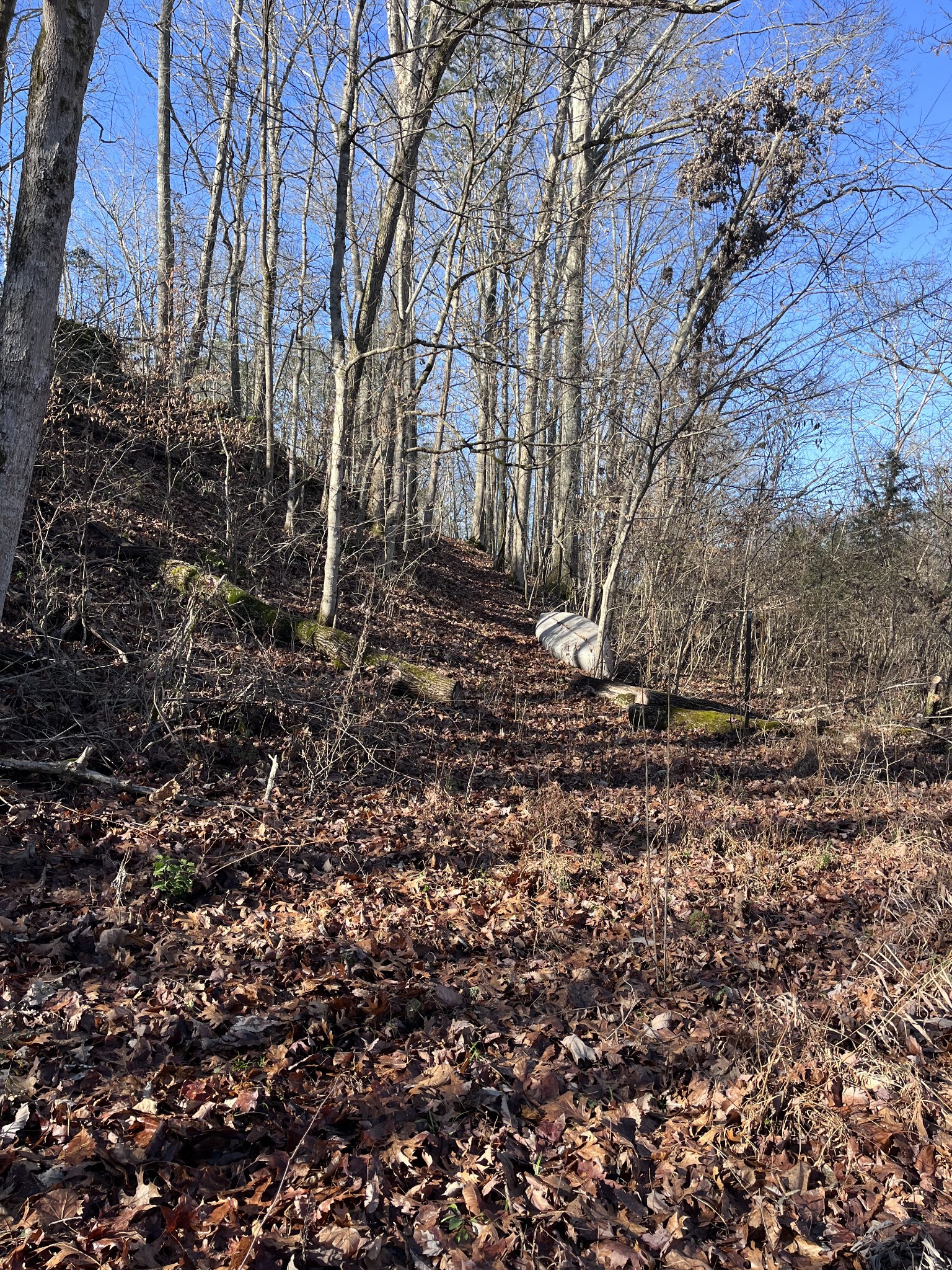 2160 Cedar Grove Road Lebanon, TN 37087 - Photo 88 of 100