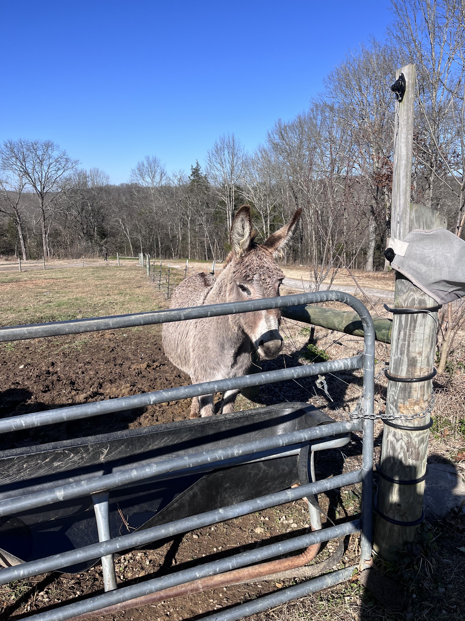 2160 Cedar Grove Road Lebanon, TN 37087 - Photo 95 of 100