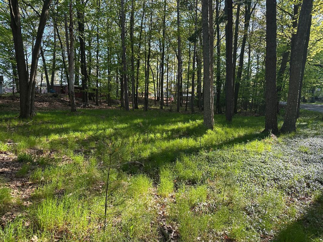 361 East Piney Road Manistee, MI 49660 - Photo 5 of 13 A perfect place to build