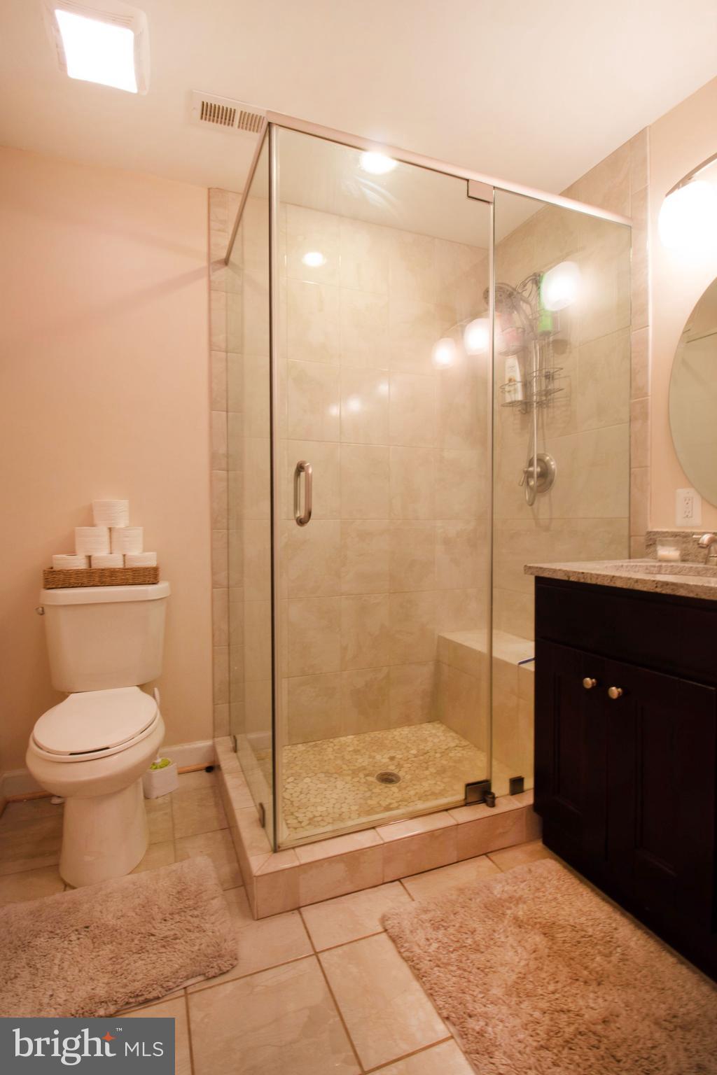 9599 Elihu Hill Road Marshall, VA 20115 - Photo 13 of 21 Bath (Master)