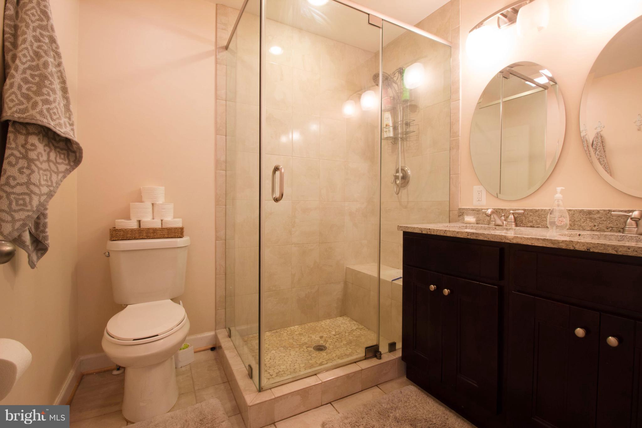 9599 Elihu Hill Road Marshall, VA 20115 - Photo 15 of 21 Bath (Master)