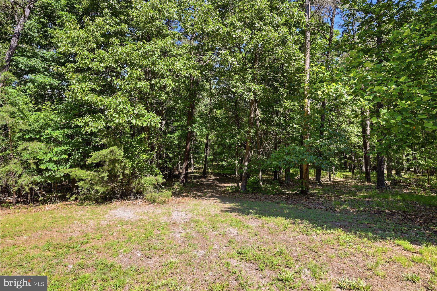 323 South Timber Ridge Road Cross Junction, VA 22625 - Photo 58 of 109 Serene woodland retreat awaits you.