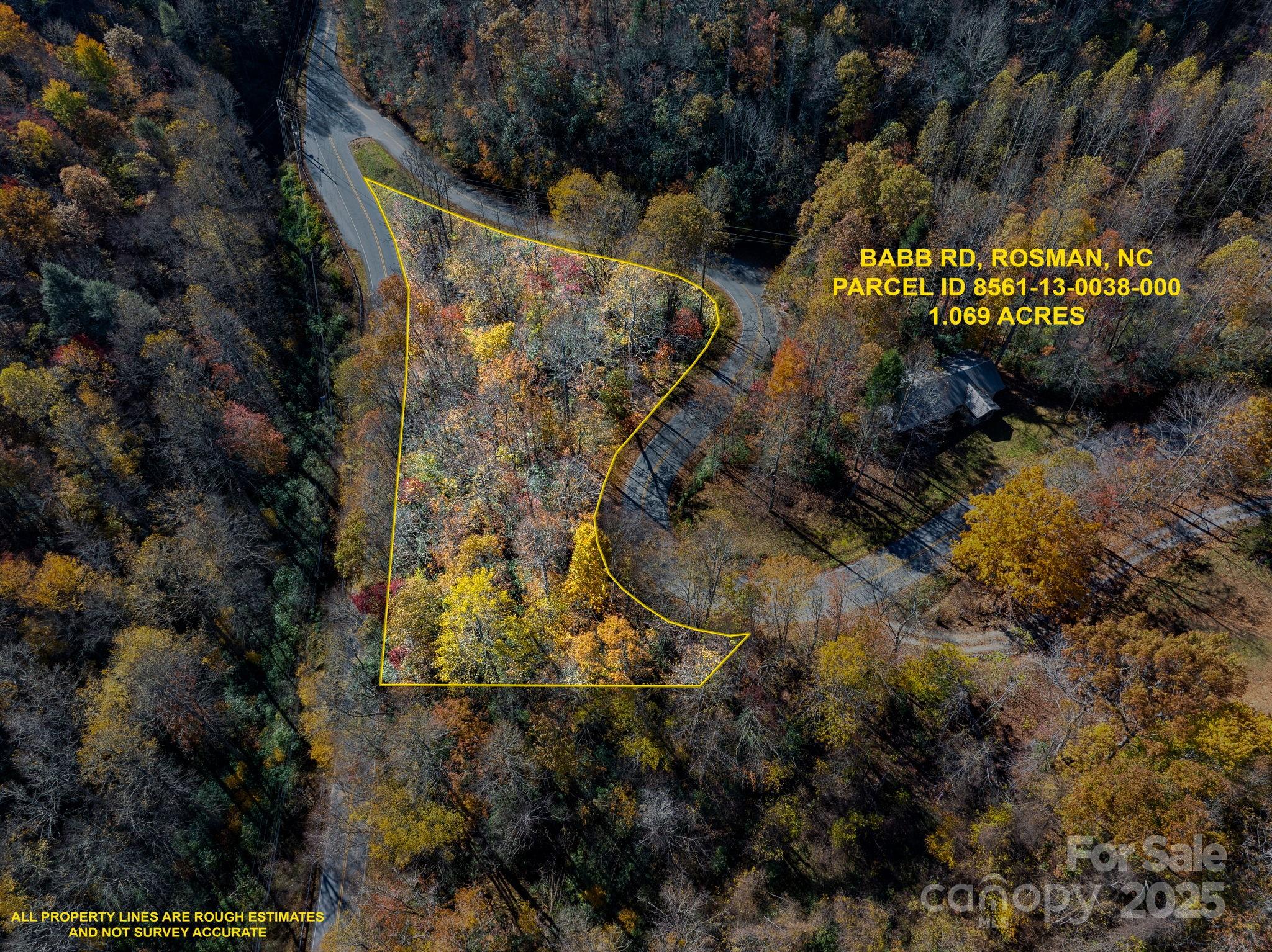 0 Babb Road Rosman, NC 28772 - Photo 1 of 15 a view of outdoor space