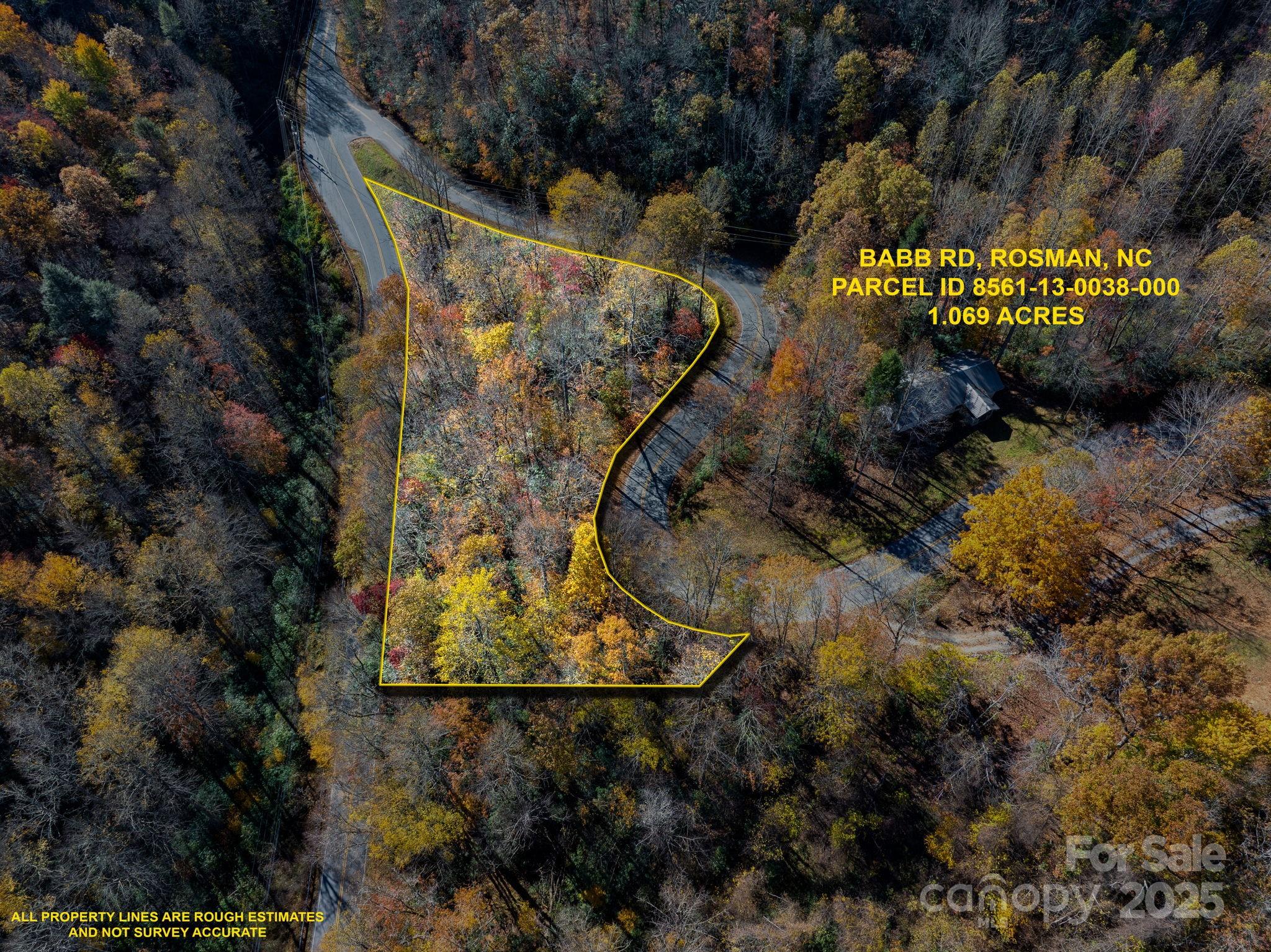 0 Babb Road Rosman, NC 28772 - Photo 13 of 15 a view of outdoor space