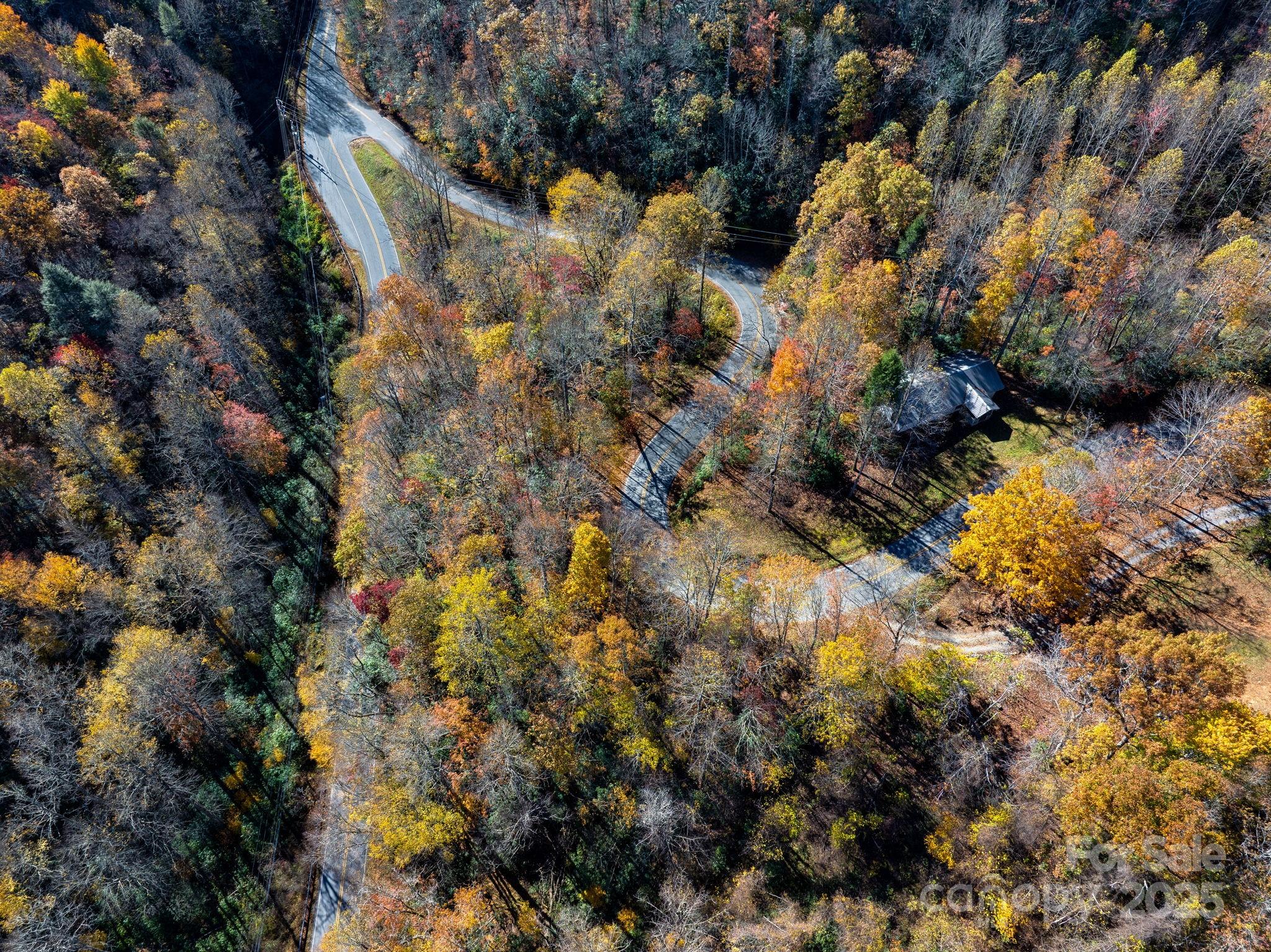 0 Babb Road Rosman, NC 28772 - Photo 14 of 15 a view of a forest with a tree