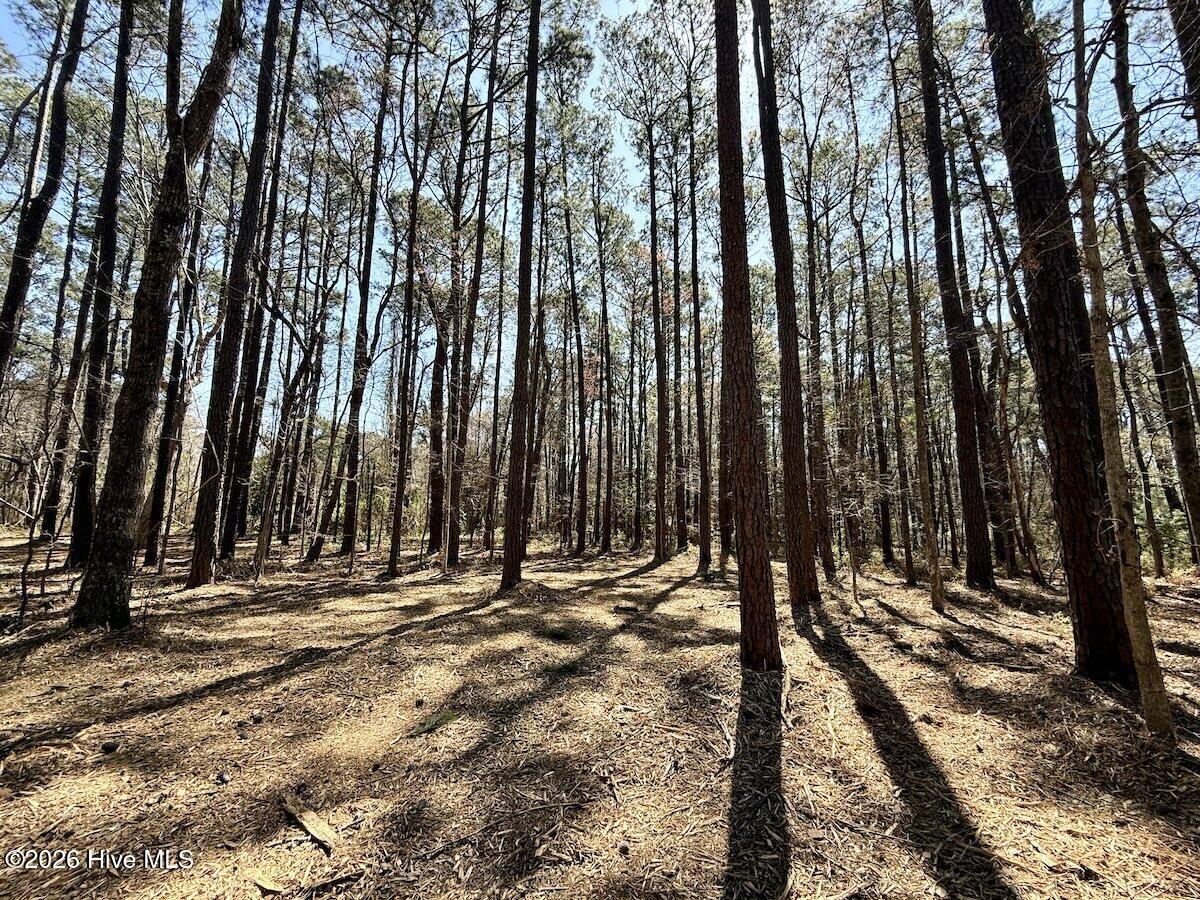 2 Creek Place Road Arapahoe, NC 28510 - Photo 14 of 23 14