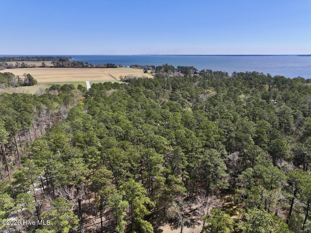 2 Creek Place Road Arapahoe, NC 28510 - Photo 3 of 23 3