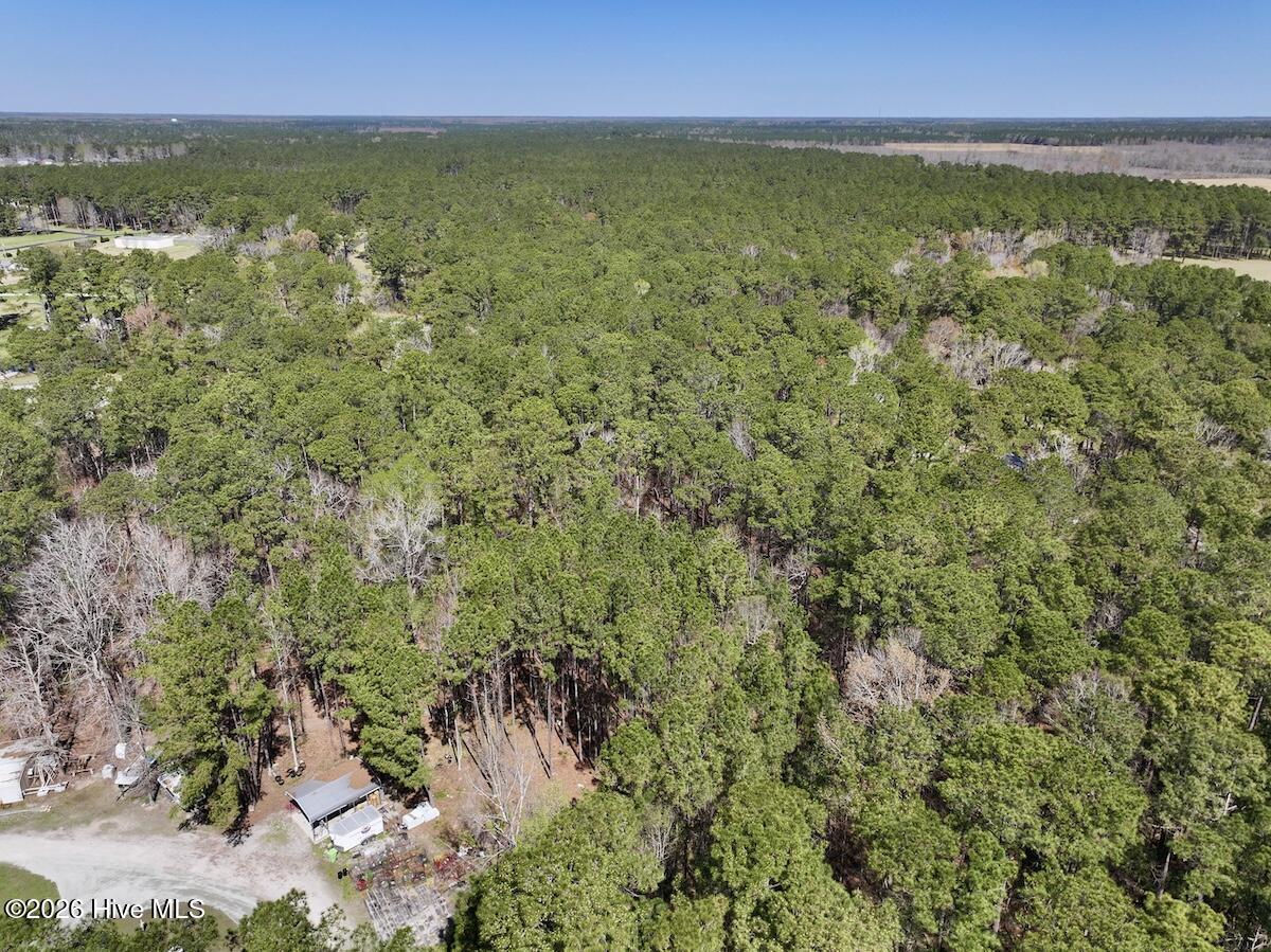 2 Creek Place Road Arapahoe, NC 28510 - Photo 4 of 23 4