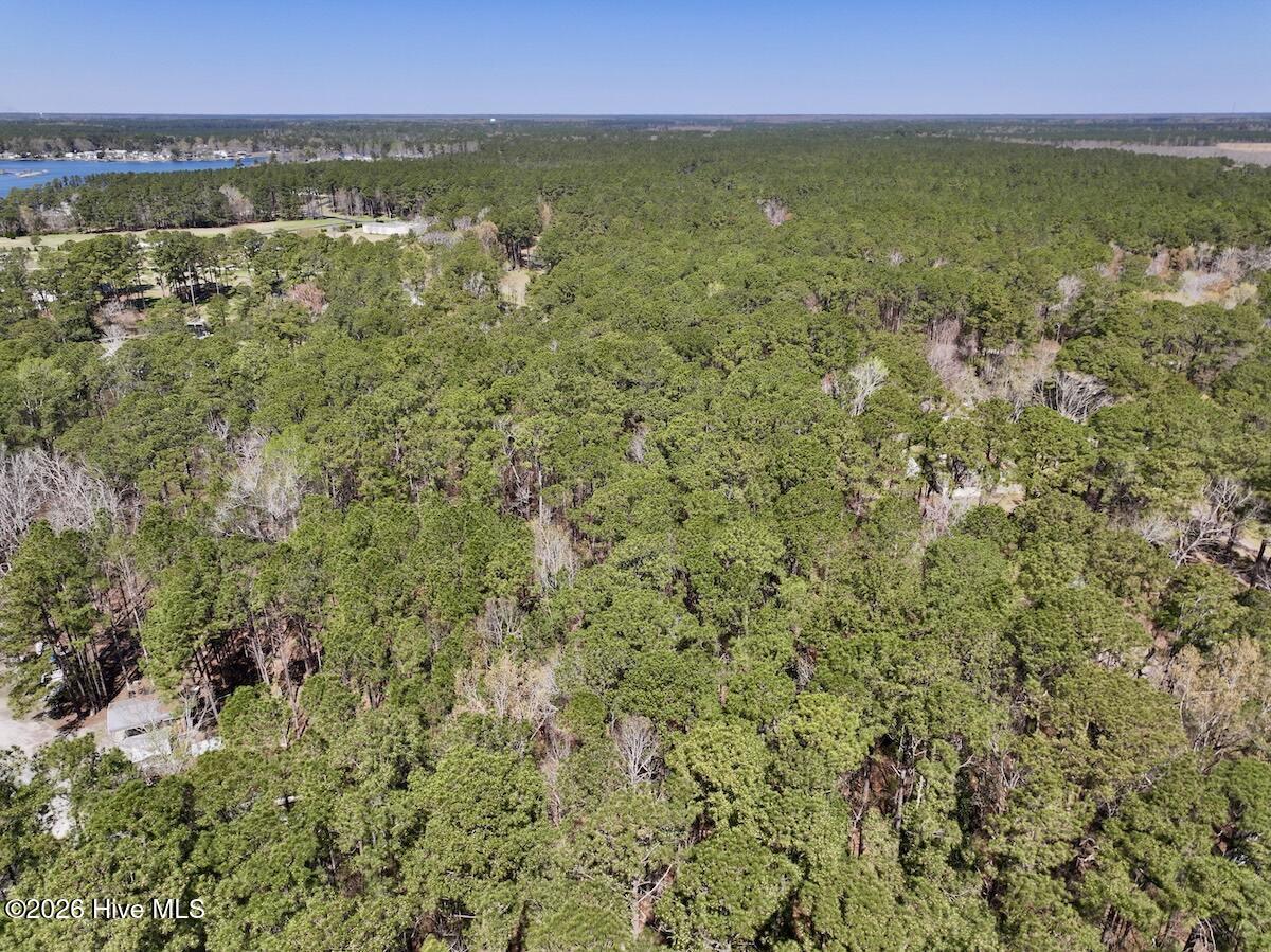 2 Creek Place Road Arapahoe, NC 28510 - Photo 5 of 23 5