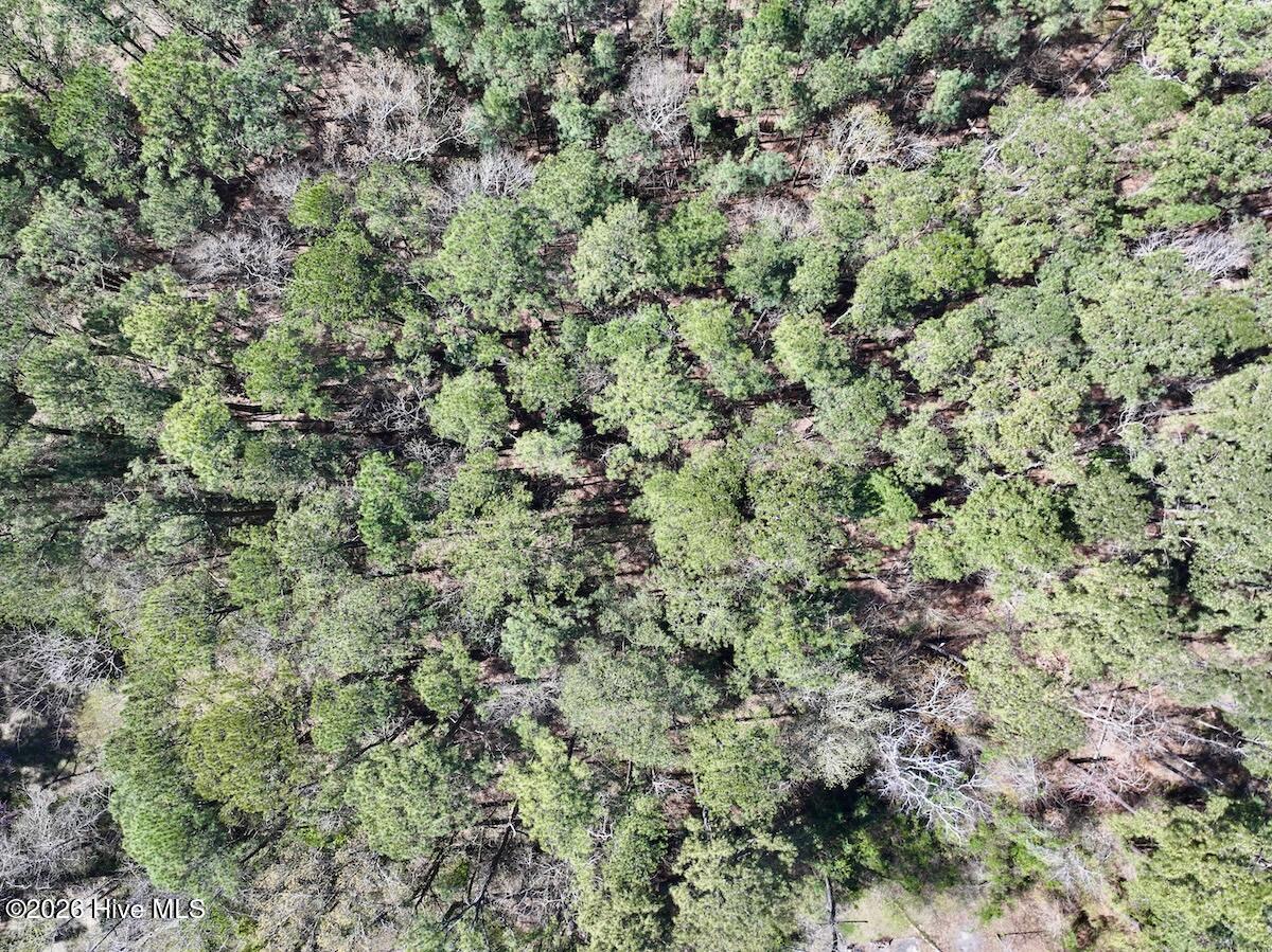 2 Creek Place Road Arapahoe, NC 28510 - Photo 8 of 23 7