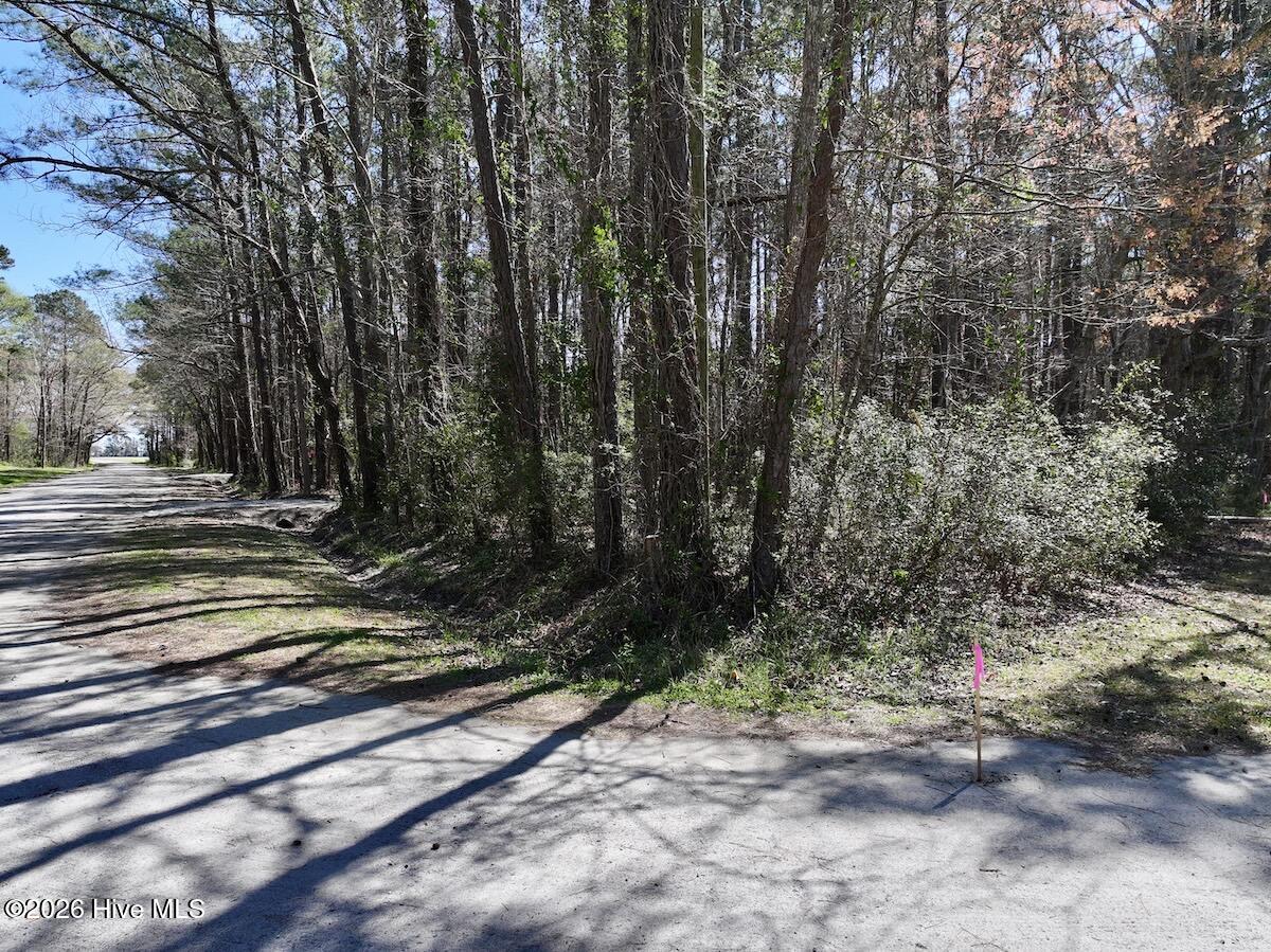 2 Creek Place Road Arapahoe, NC 28510 - Photo 10 of 23 10