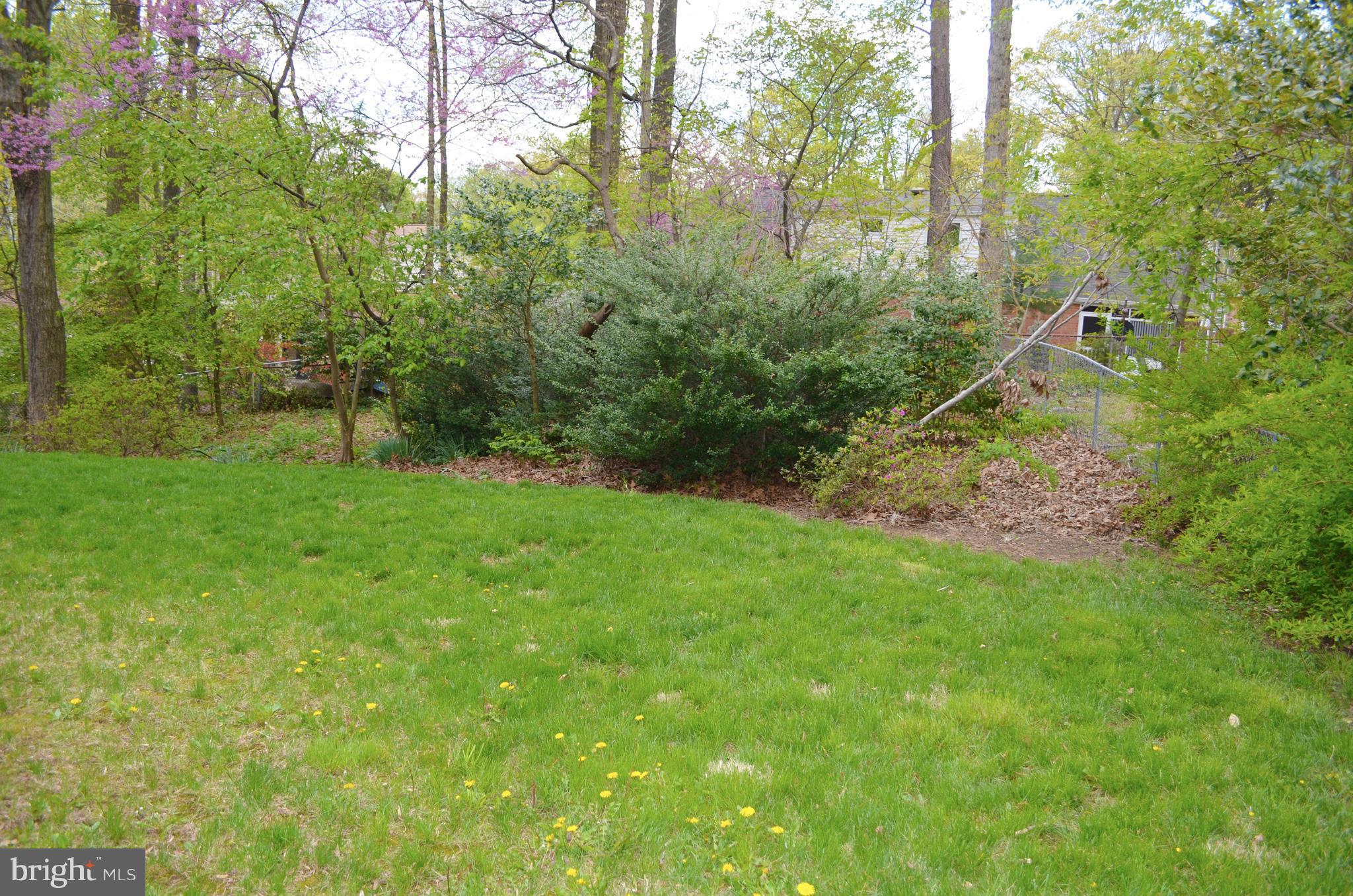 5534 Callander Drive Springfield, VA 22151 - Photo 20 of 20 a backyard of a house with lots of green space